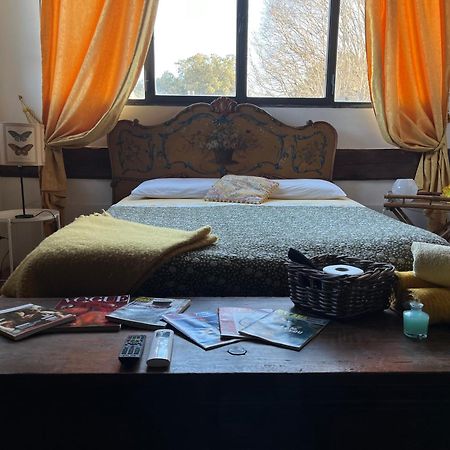 B&B Alla Corte Dei Medici Firenze Eksteriør billede