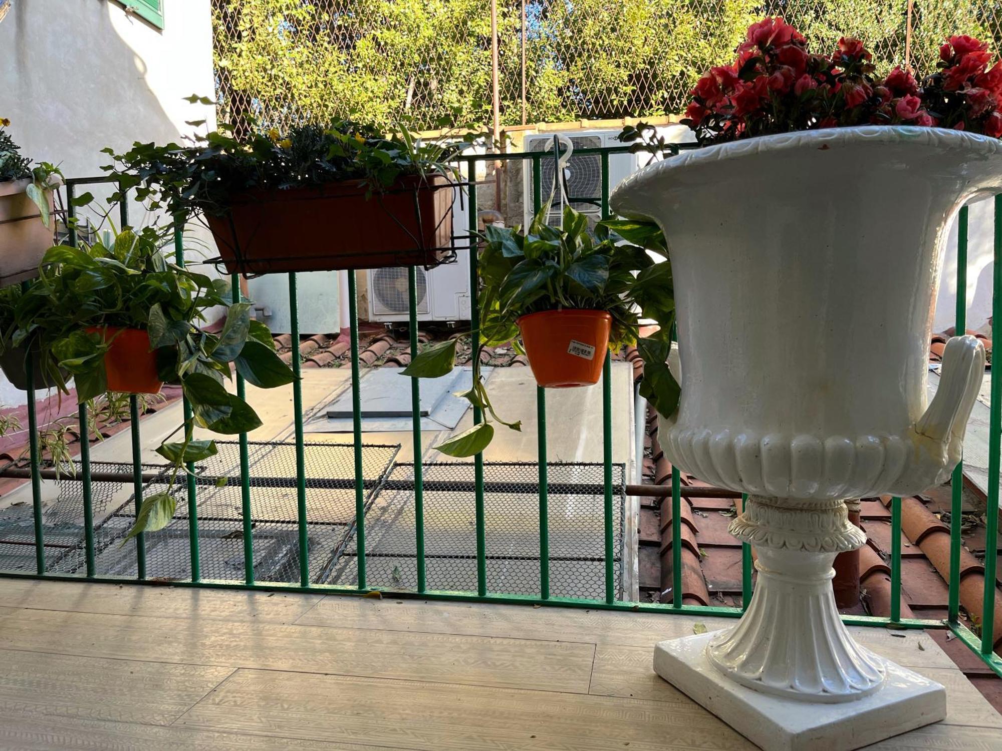 B&B Alla Corte Dei Medici Firenze Eksteriør billede